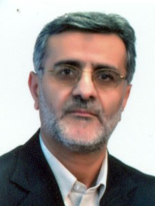 Professional Service