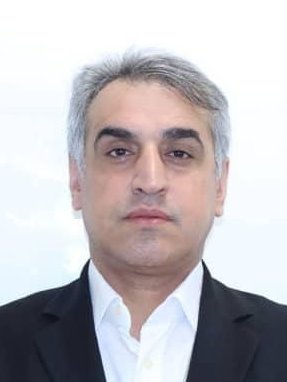 Professional Service