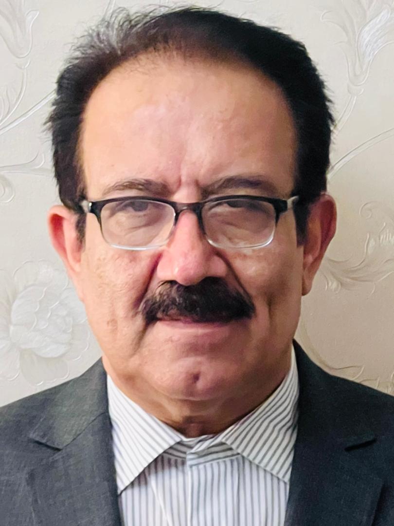 Professional Service