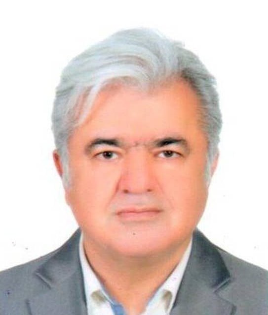 Professional Service