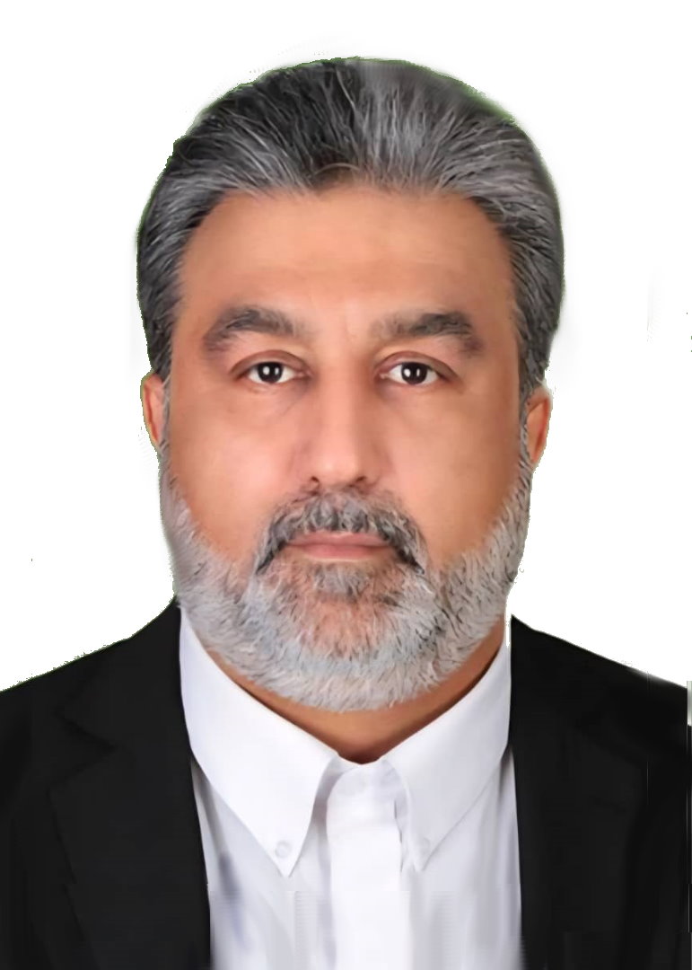 Professional Service