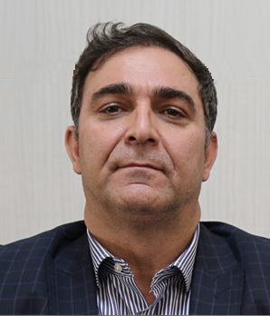 Professional Service