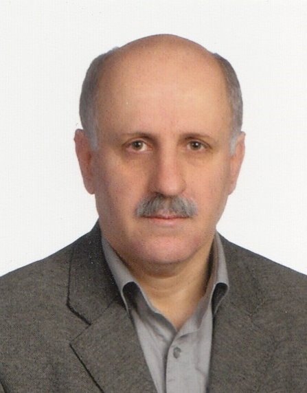 Professional Service